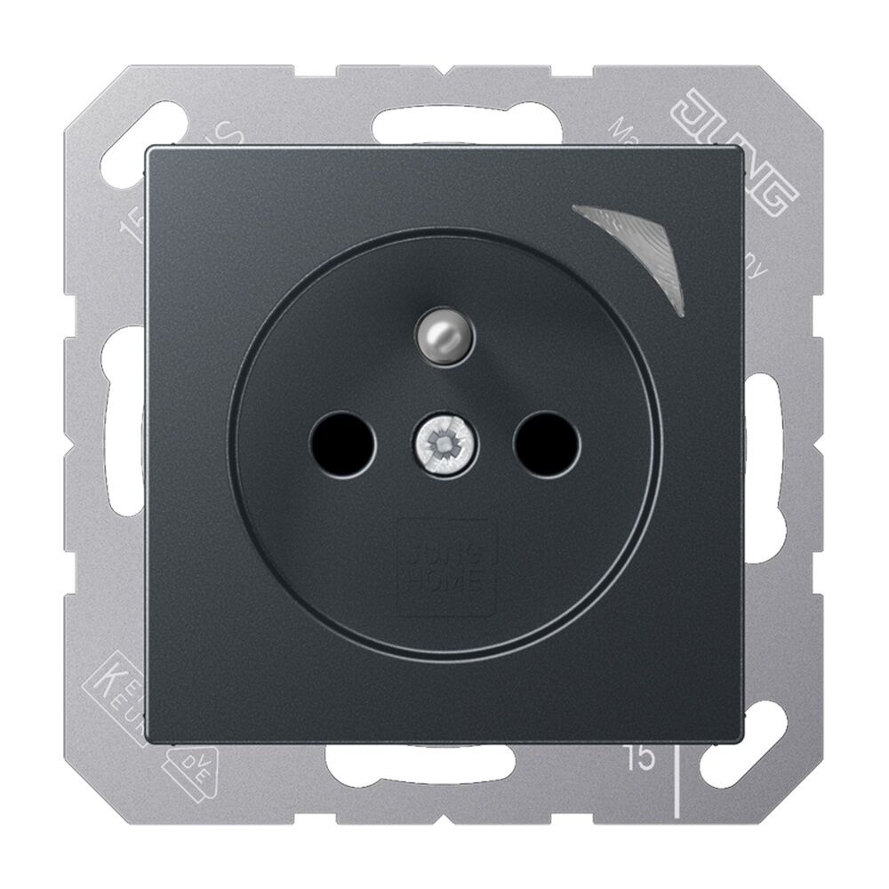 Jung JUNG HOME Steckdose BTA1521FSANM