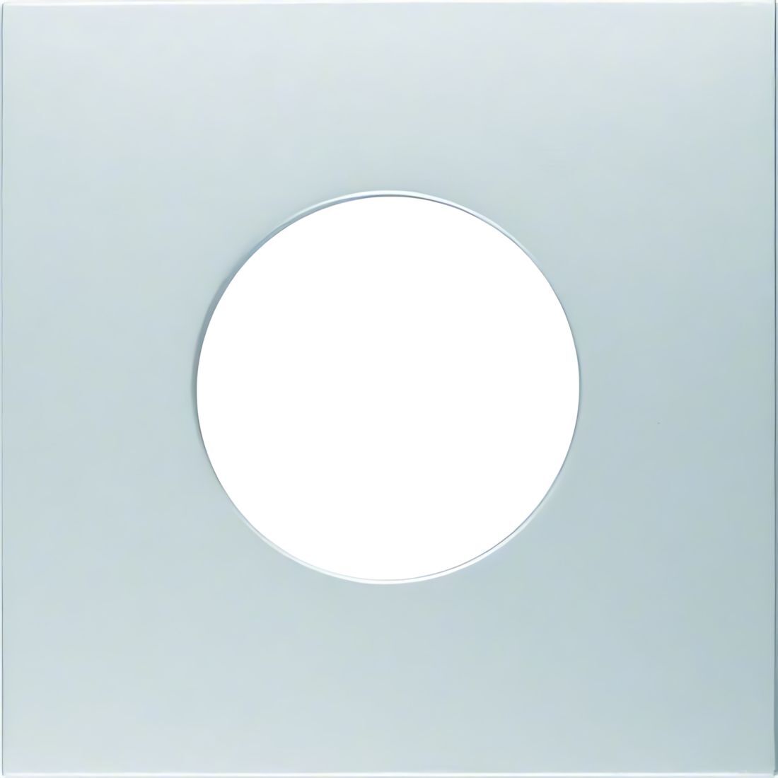 Berker Zentralstück 11241404