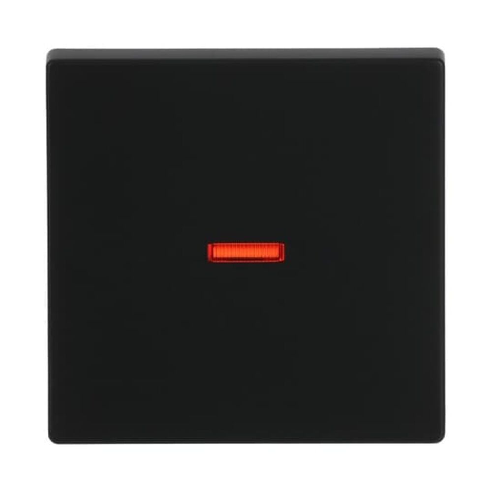 Busch-Jaeger Wippe 1789-885 Nr. 2CKA001751A3047