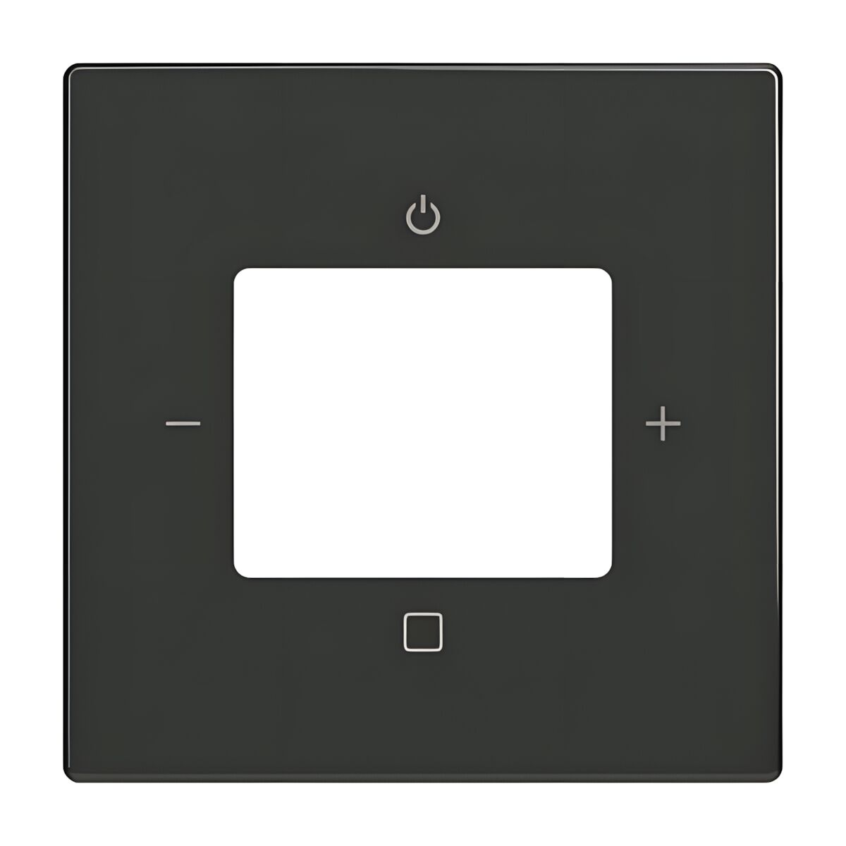 Busch-Jaeger Zentralscheibe 8252-81-101 Nr. 2CKA008200A0248