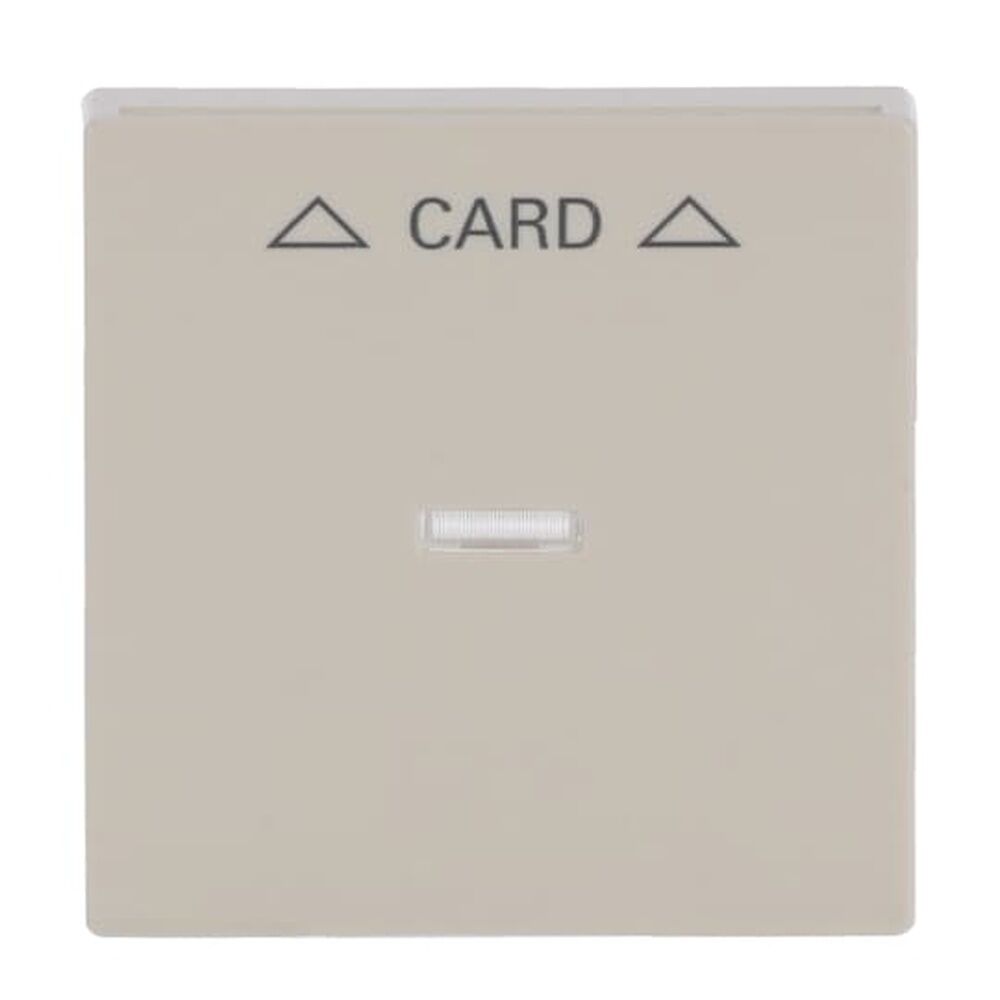 Busch-Jaeger Zentralscheibe 1792-82 Nr. 2CKA001710A3640