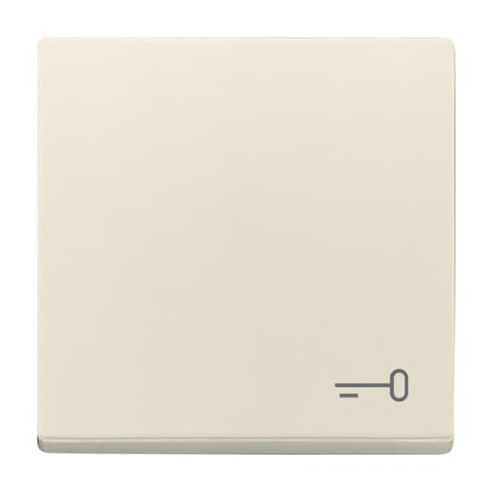 Busch-Jaeger Wippe 2520 TR-82 Nr. 2CKA001751A3197