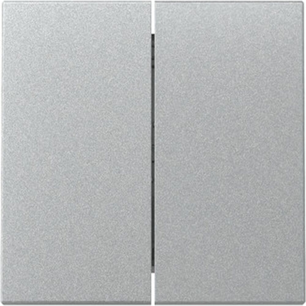 Gira Wippe 2fach 329526