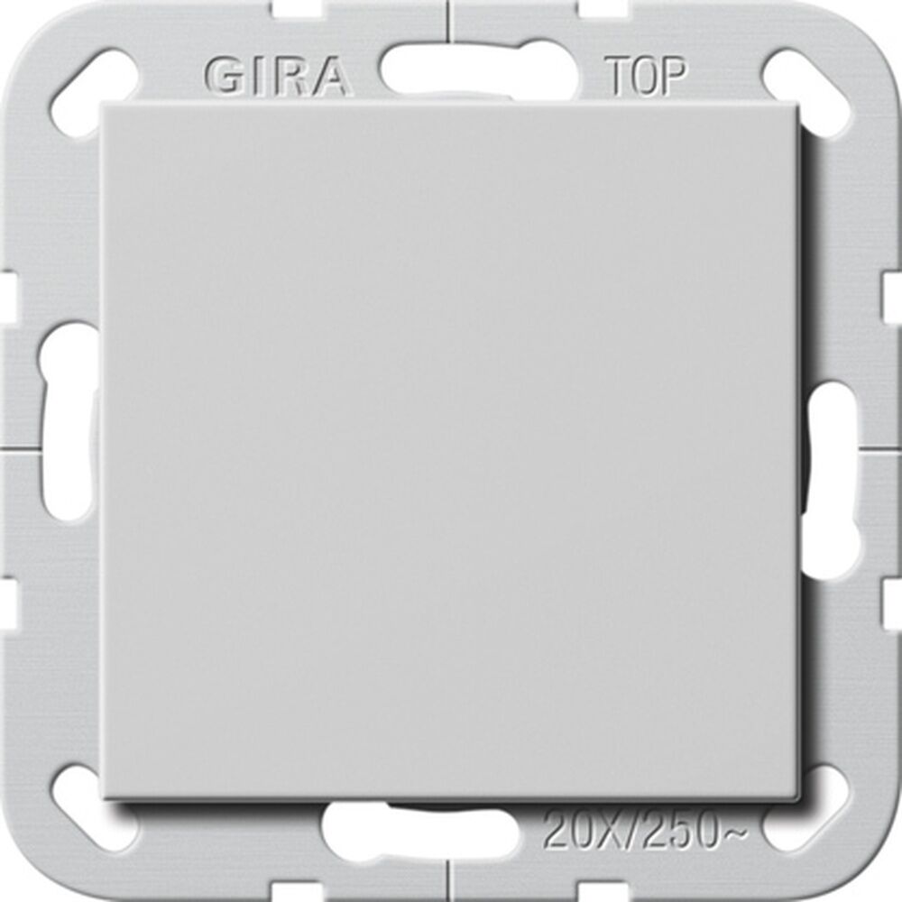 Gira Wippschalter 2836015