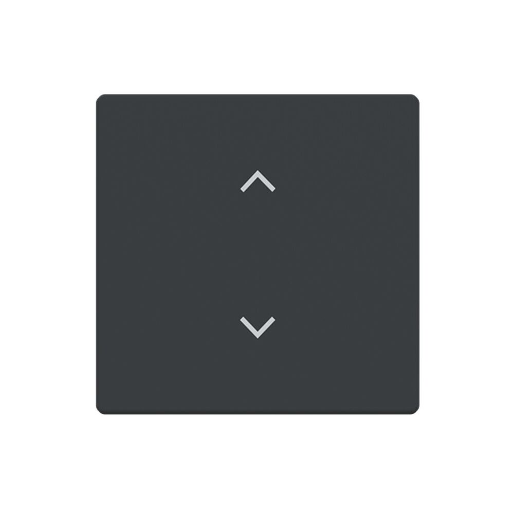 Busch-Jäger Wippe 6735-11-81 Nr. 2CKA006220A0985