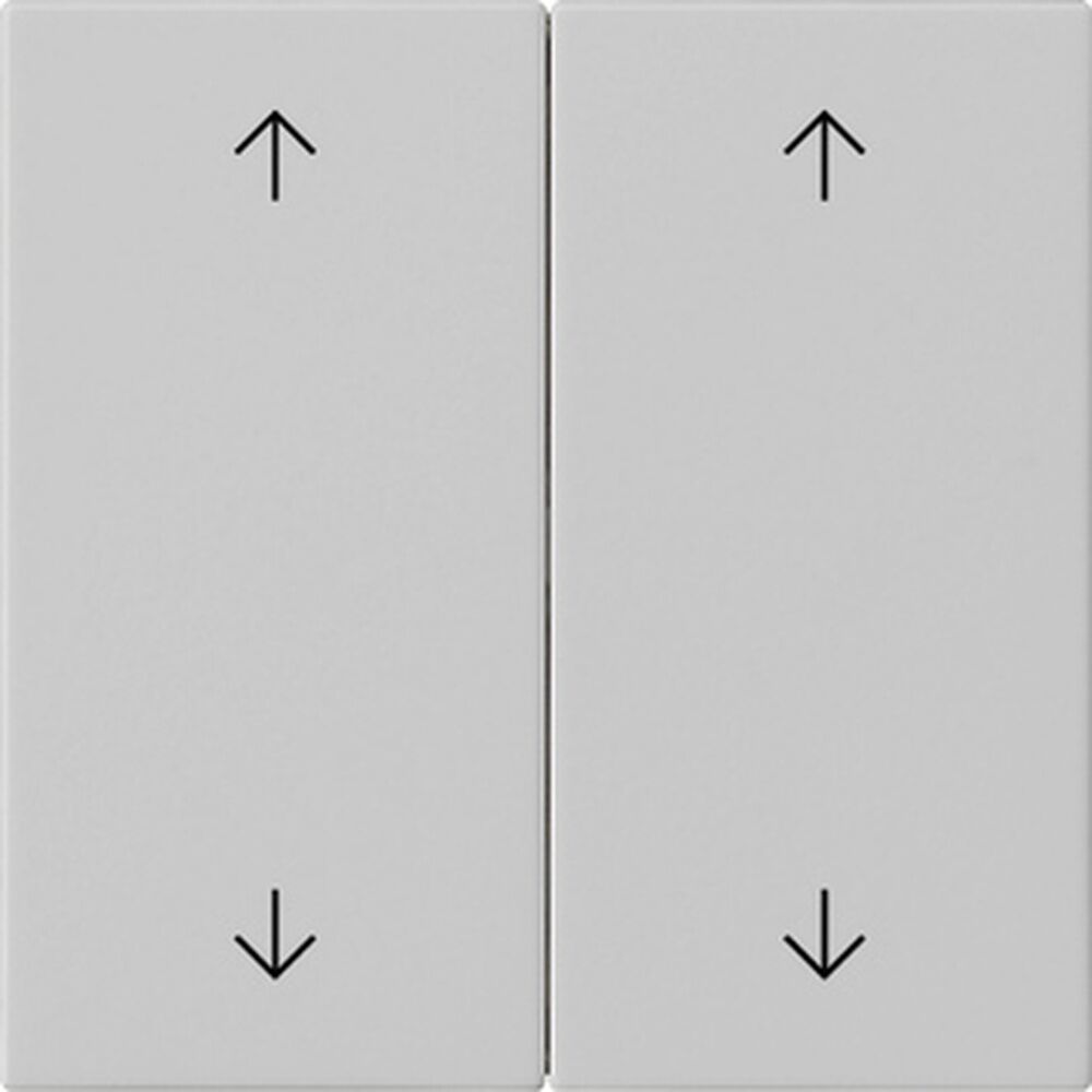 Gira Wippe 2fach 5387015