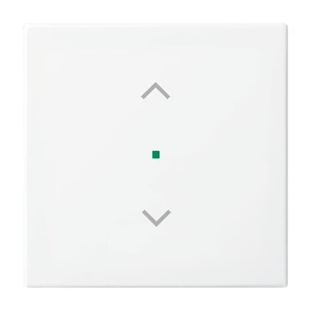 Busch-Jaeger Wippe 6232-10-914 Nr. 2CKA006220A0357