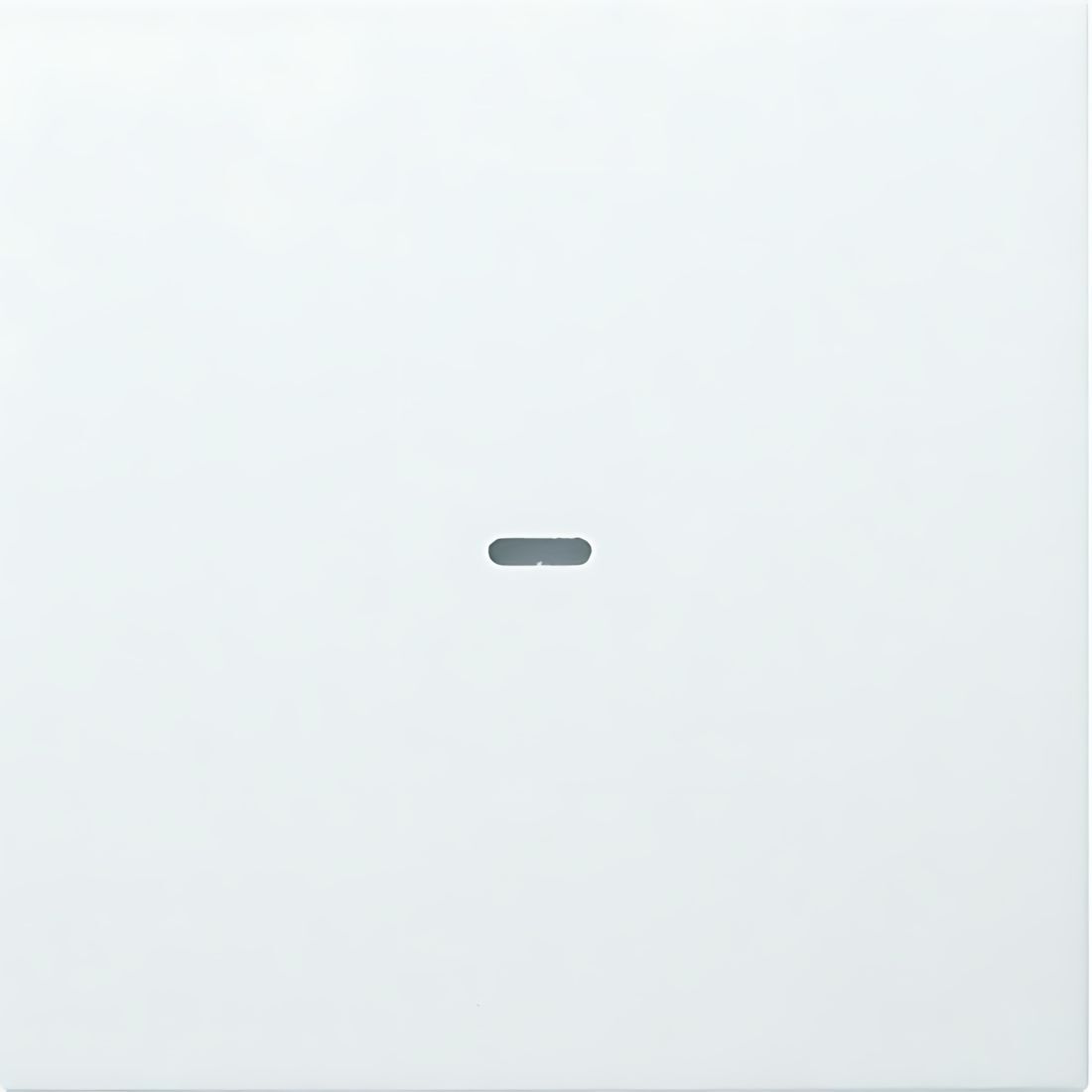 Berker Abdeckung 80960299