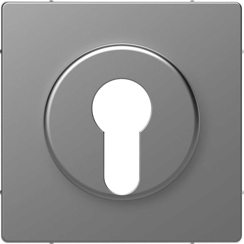 Merten Zentralplatte MEG3886-6036