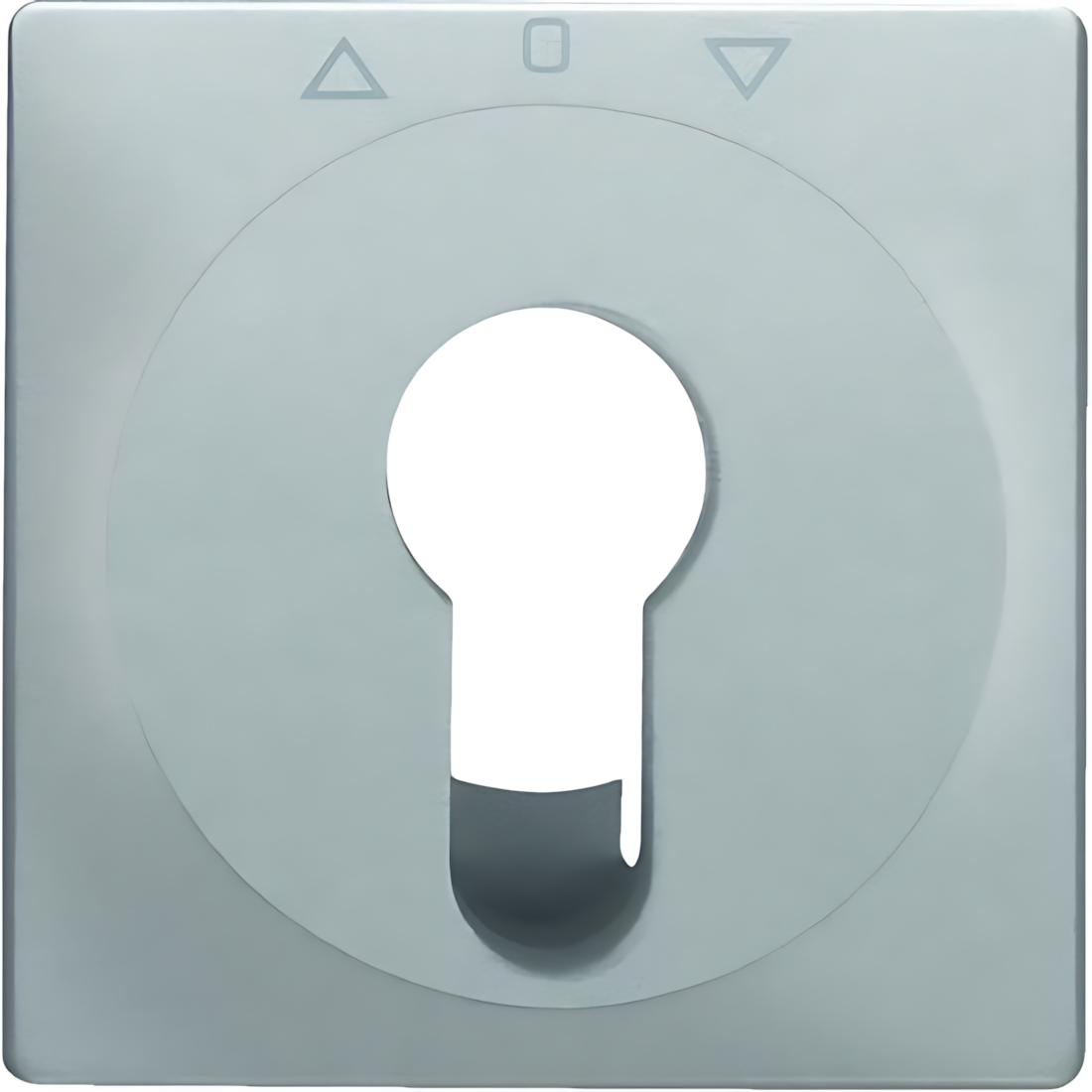 Berker Abdeckung 15066084