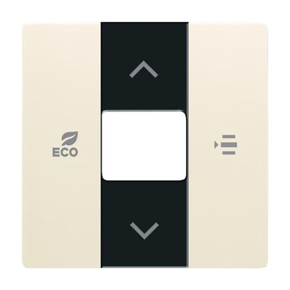 Busch-Jaeger Zentralscheibe 6236-82 Nr. 2CKA006220A0412