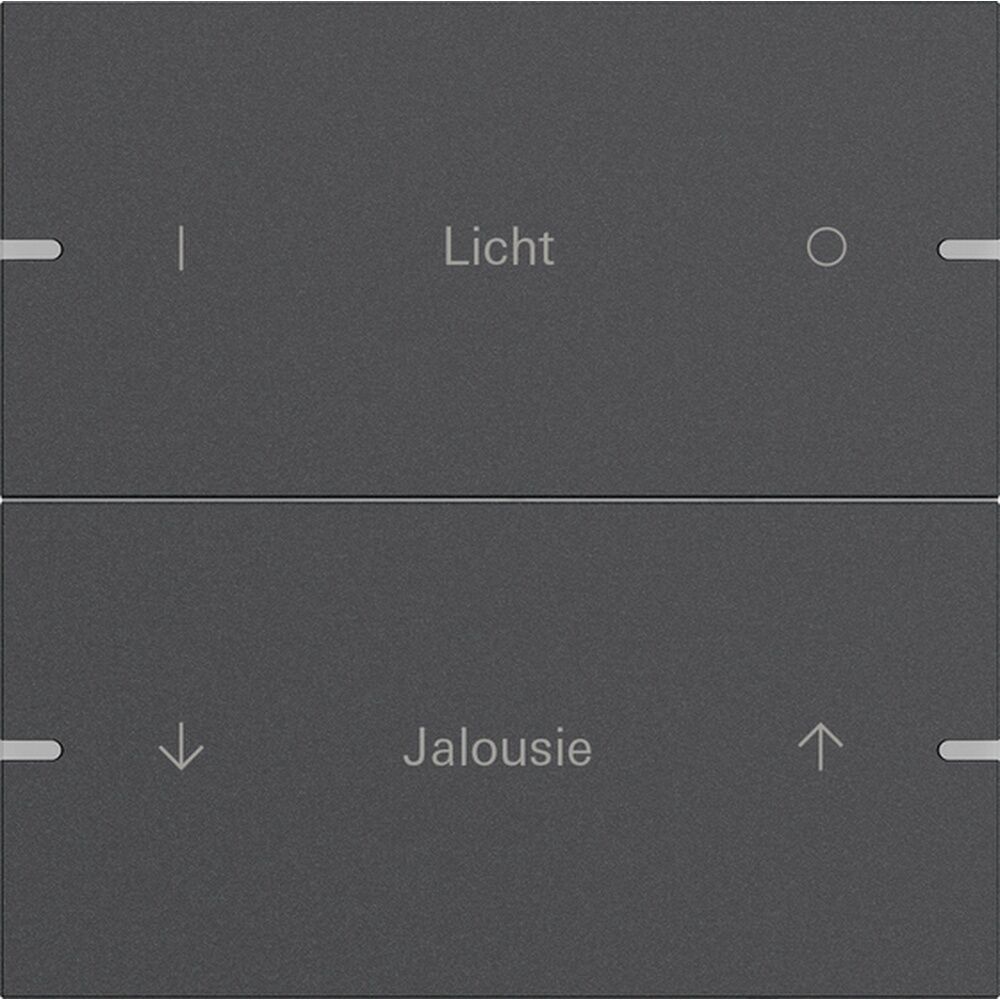 Gira Wippenset 2fach 5032928