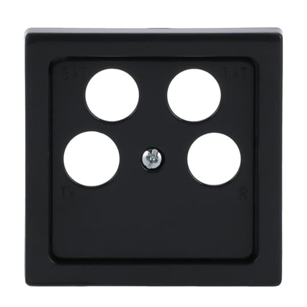 Busch-Jaeger Zentralscheibe 1743/10-04-81 Nr. 2CKA001724A4365