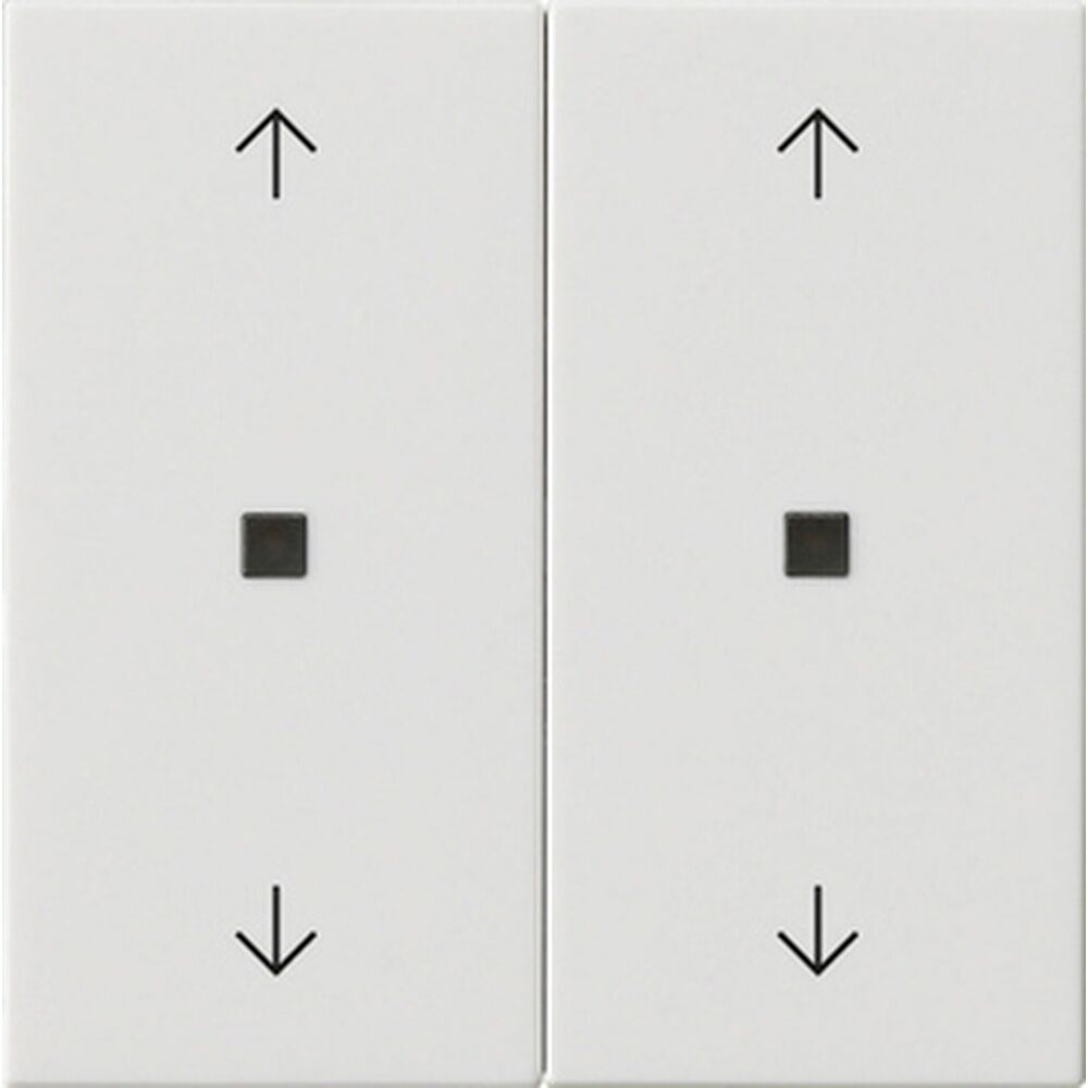 Gira Wippe 2fach 538603