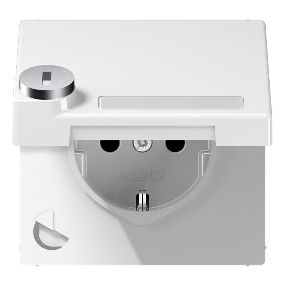 Jung Schutzkontakt Steckdose LS 1520 NAKLSL WW