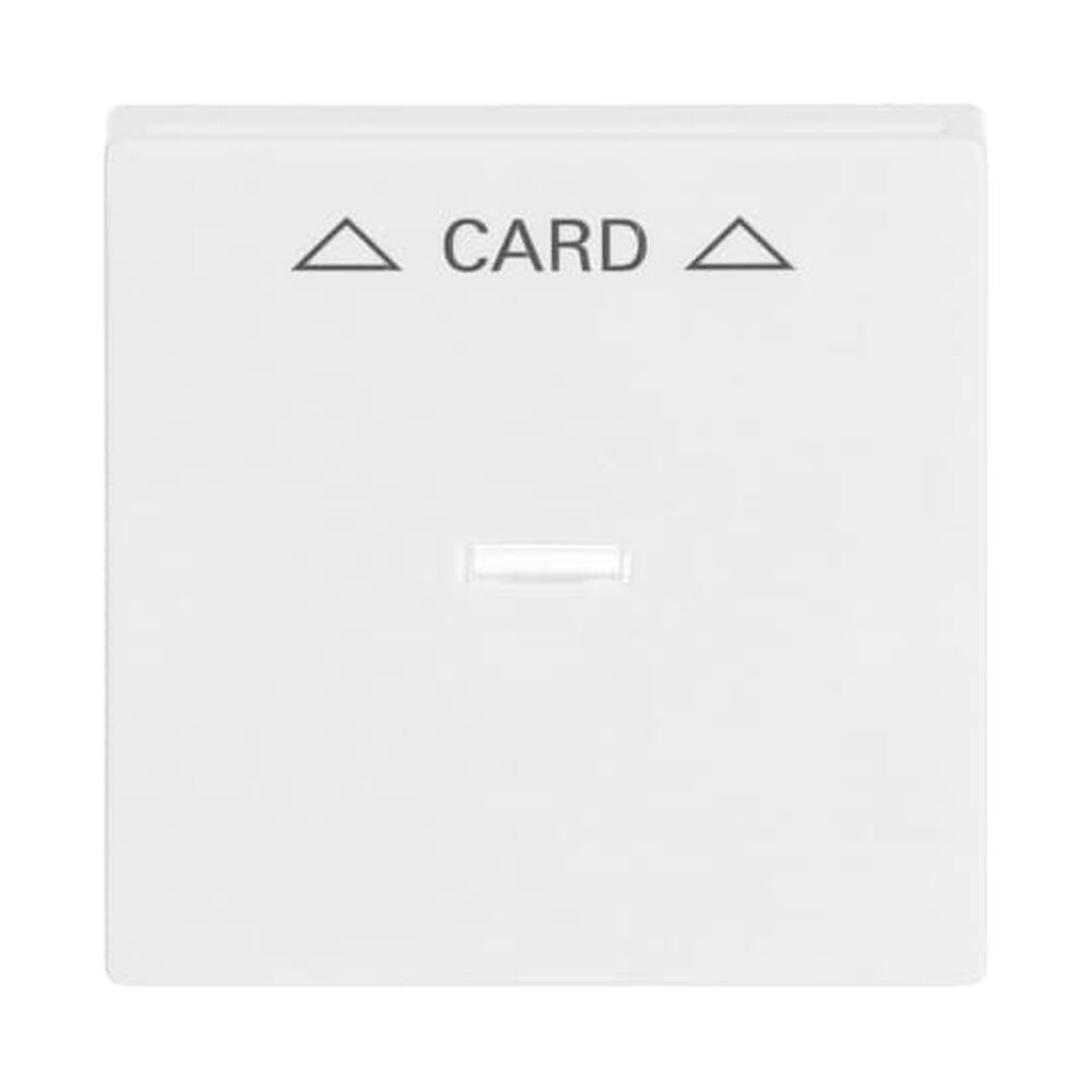 Busch-Jaeger Zentralscheibe 1792-84 Nr. 2CKA001710A3641