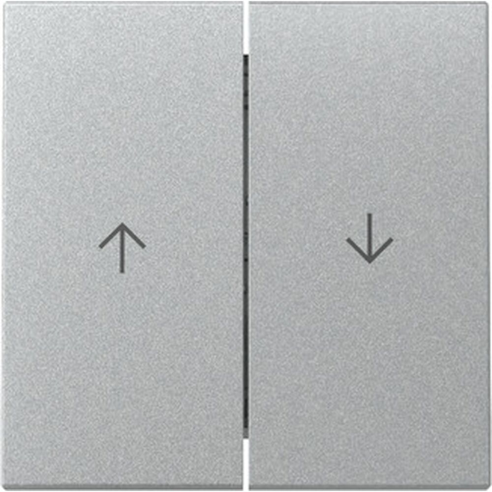 Gira Wippe 2fach 329426