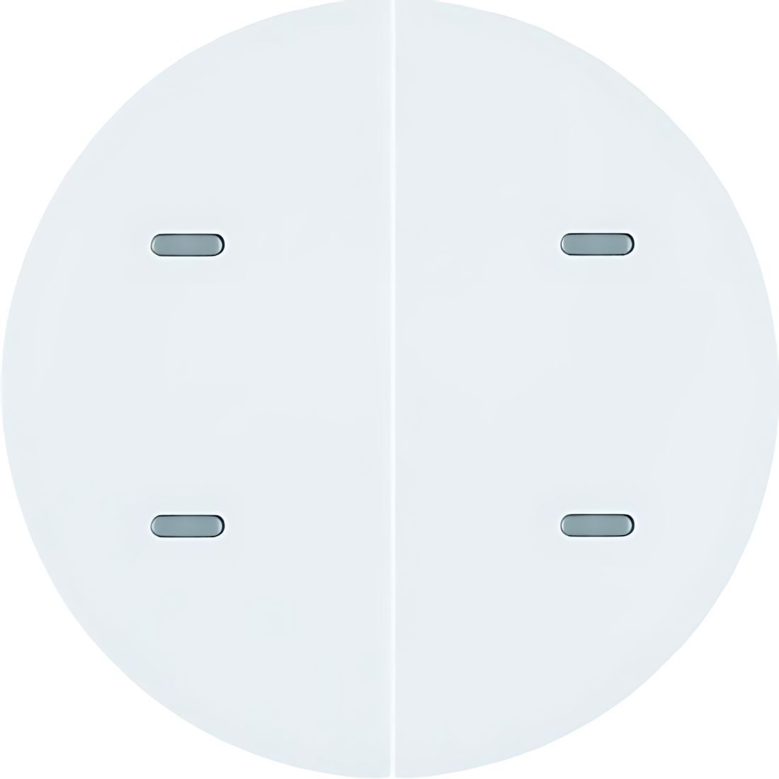 Berker Tastsensor 80162869