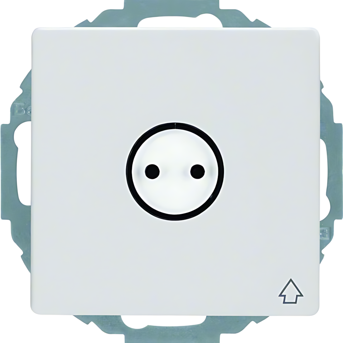 Berker Steckdose 47446049 