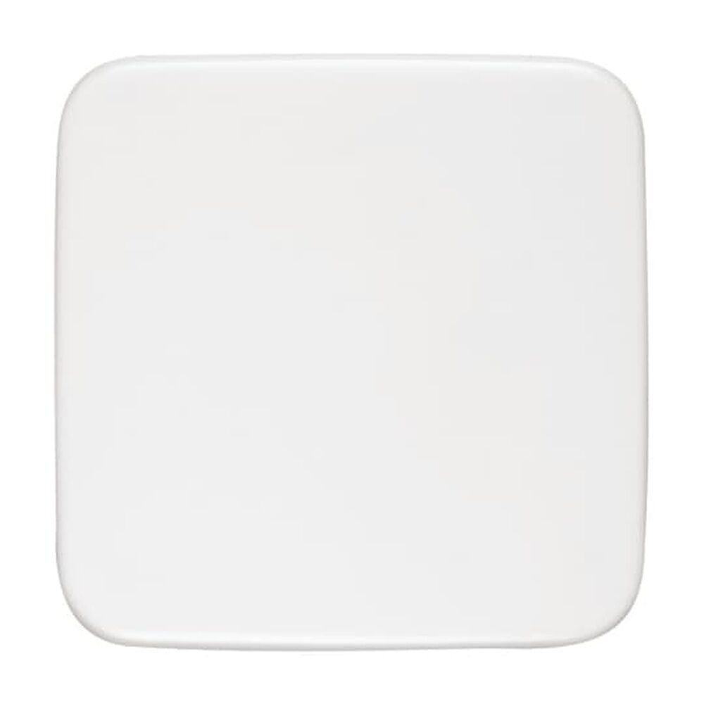 Busch-Jaeger Blindzentralscheibe 1576 C-214 Nr. 2CKA001582A0354