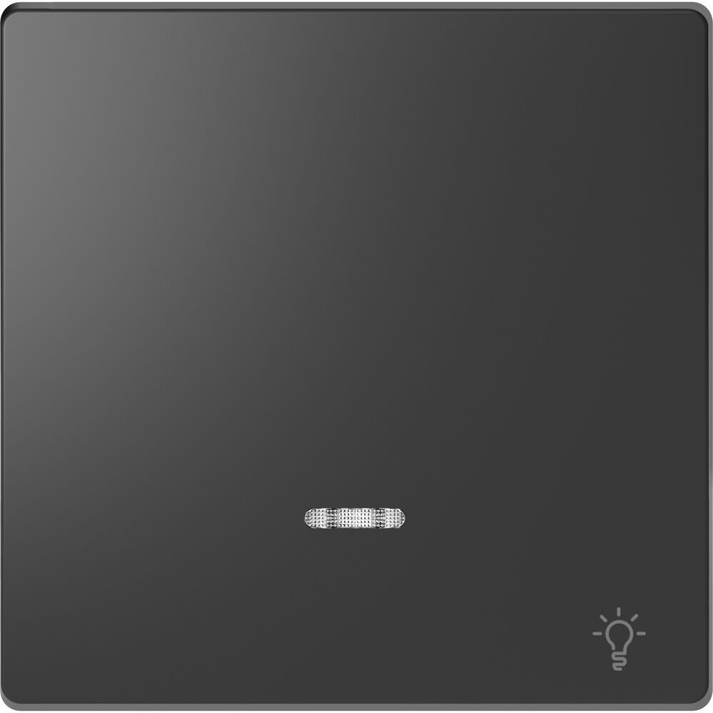 Merten Wippe Licht MEG3322-6034