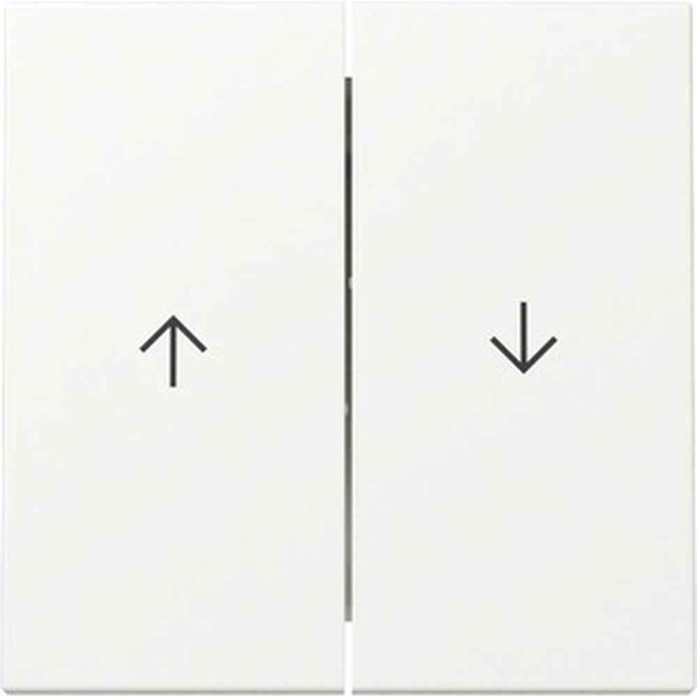 Gira Wippe 2fach 329427