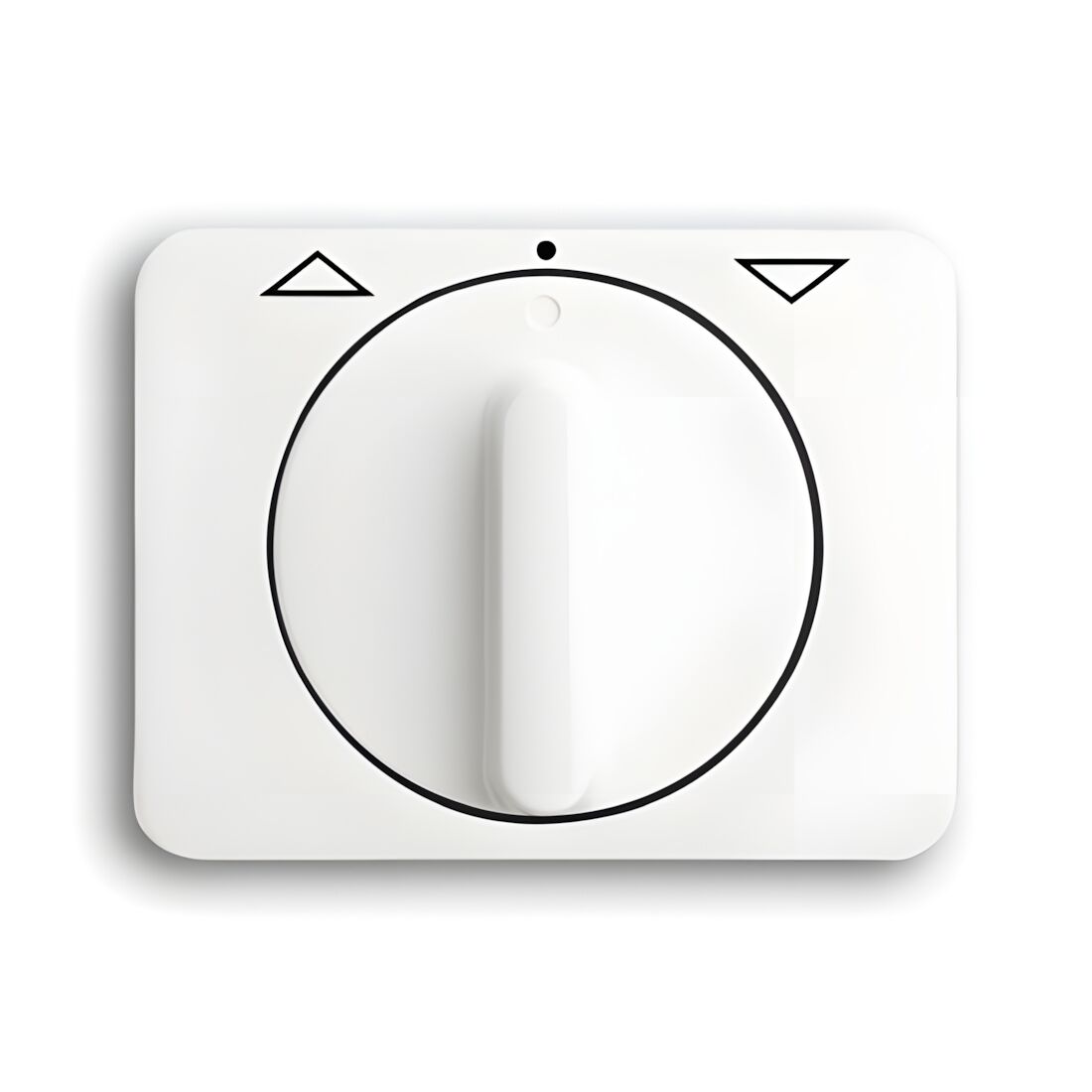 Busch-Jaeger Zentralscheibe 1740 DR-24G Nr. 2CKA001753A7263