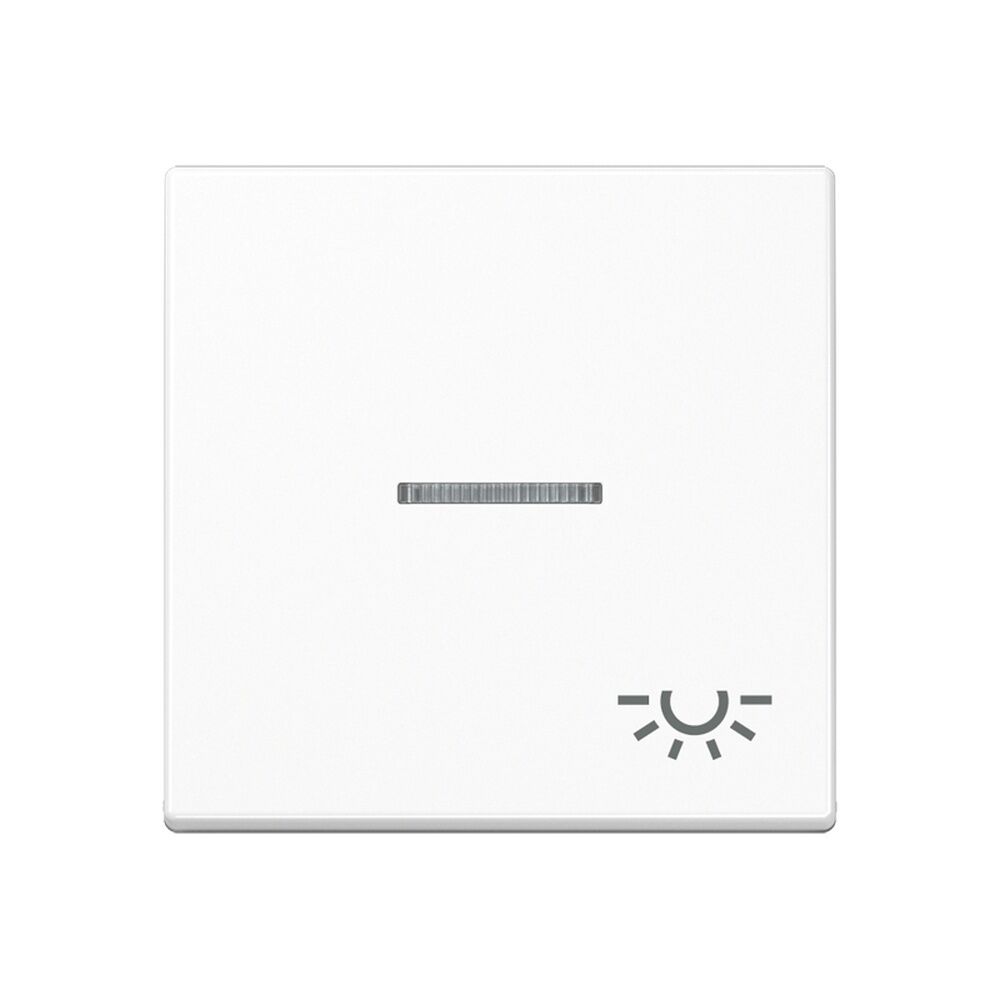 Jung Wippe A 590 BF KO5 L WW