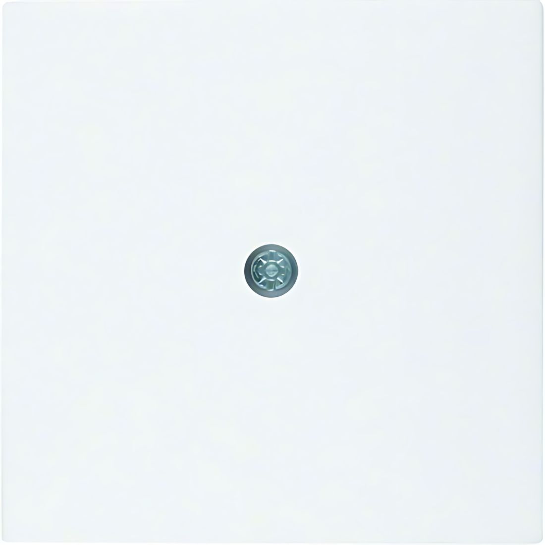 Berker Zentralstück 10191909