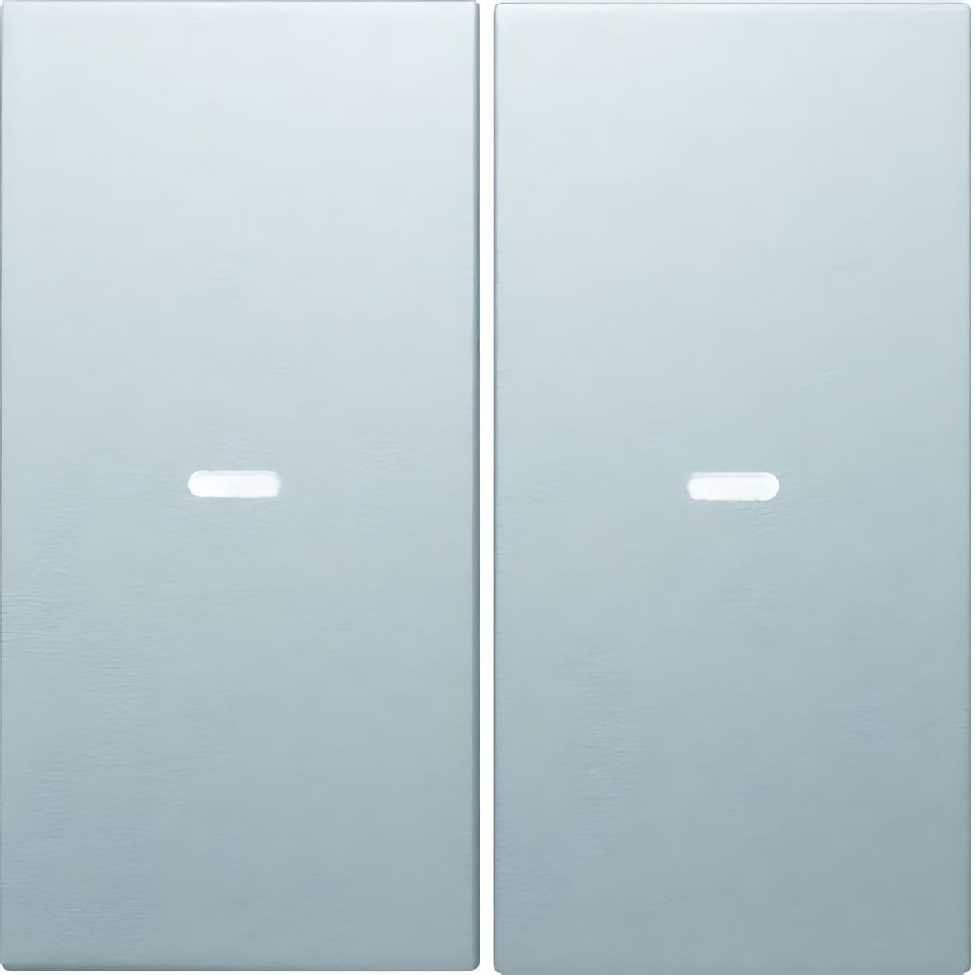 Berker Wippe 80960383