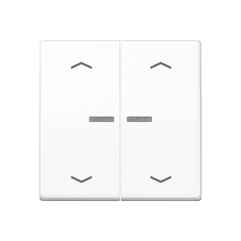 Jung JUNG HOME Taster BTA17102BFPWW