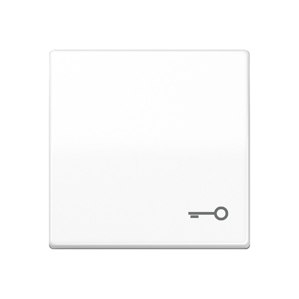 Jung Wippe 1fach SPAS591TWW