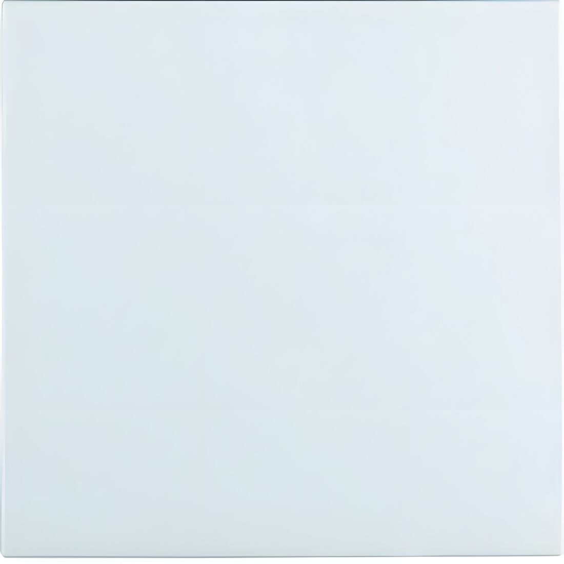 Berker Wippe 16201909