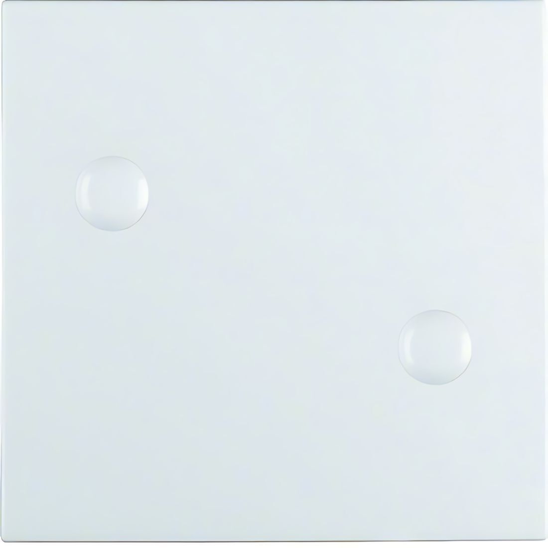 Berker Wippe 15701909