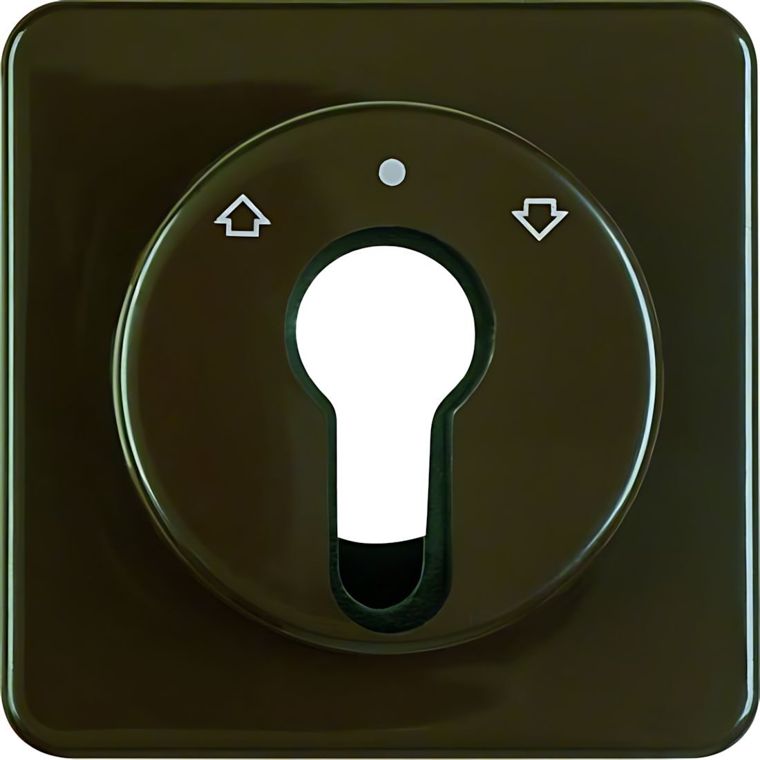 Berker Zentralstück 151811 