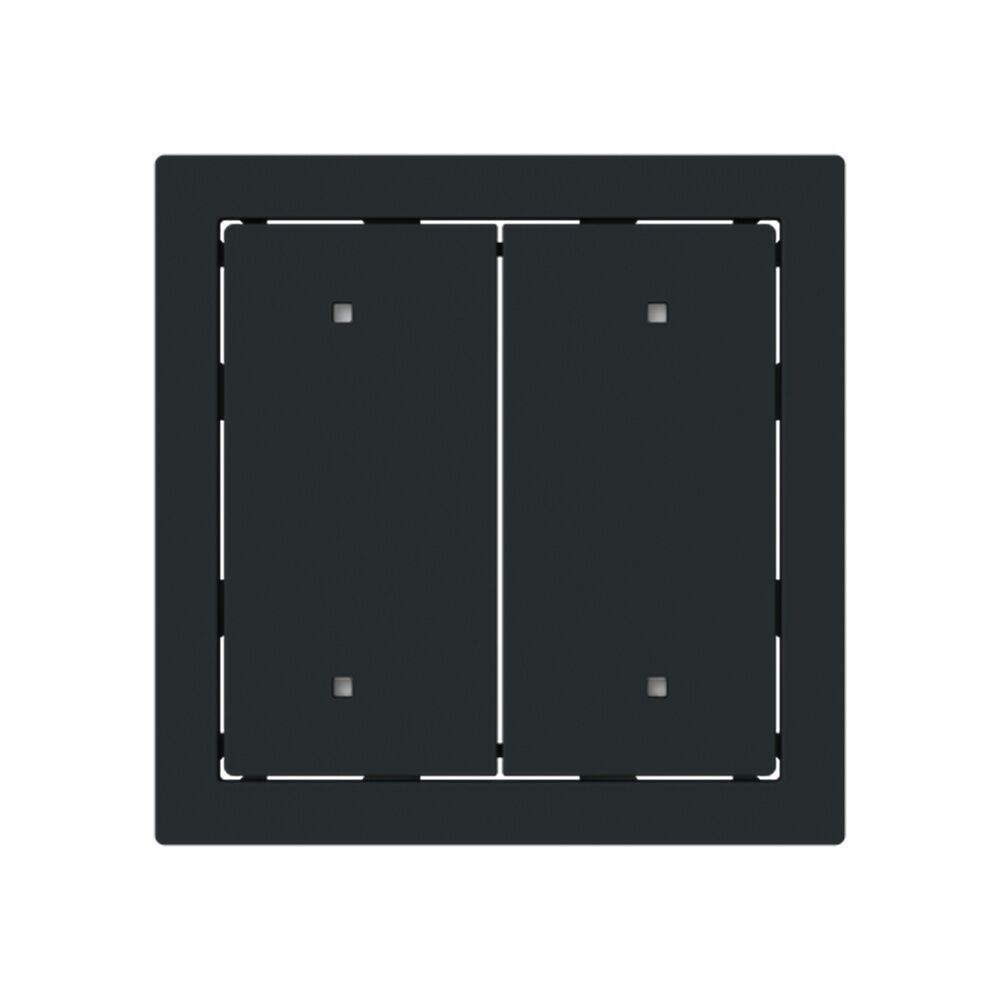 Busch-Jäger Wippe 2570-20-45M Nr. 2CKA001751A3320