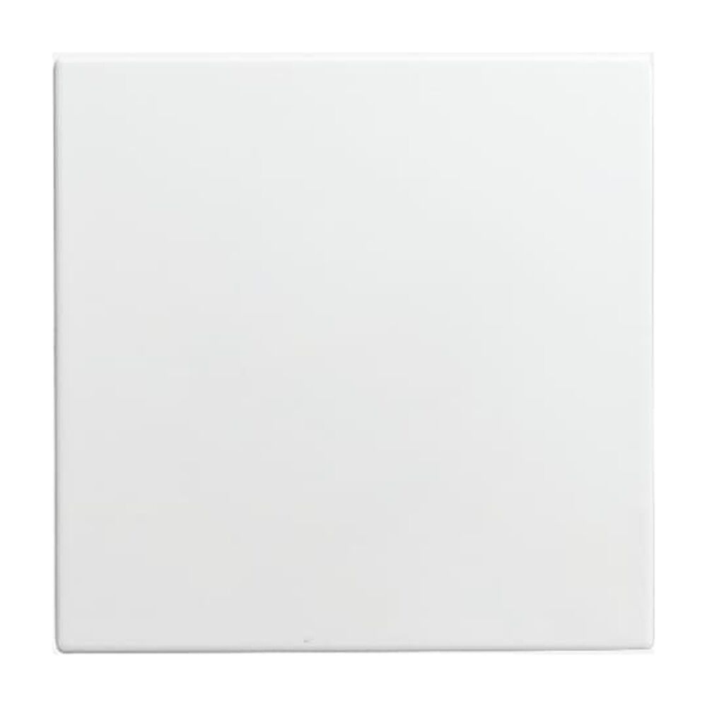 Busch-Jaeger Blindzentralscheibe 1576 C-914 Nr. 2CKA001582A0401