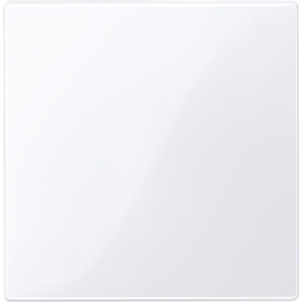 Merten Zentralplatte 450025