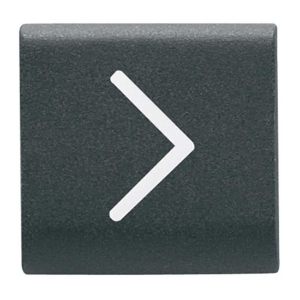 Gewiss Austauschbare Taste GW12546