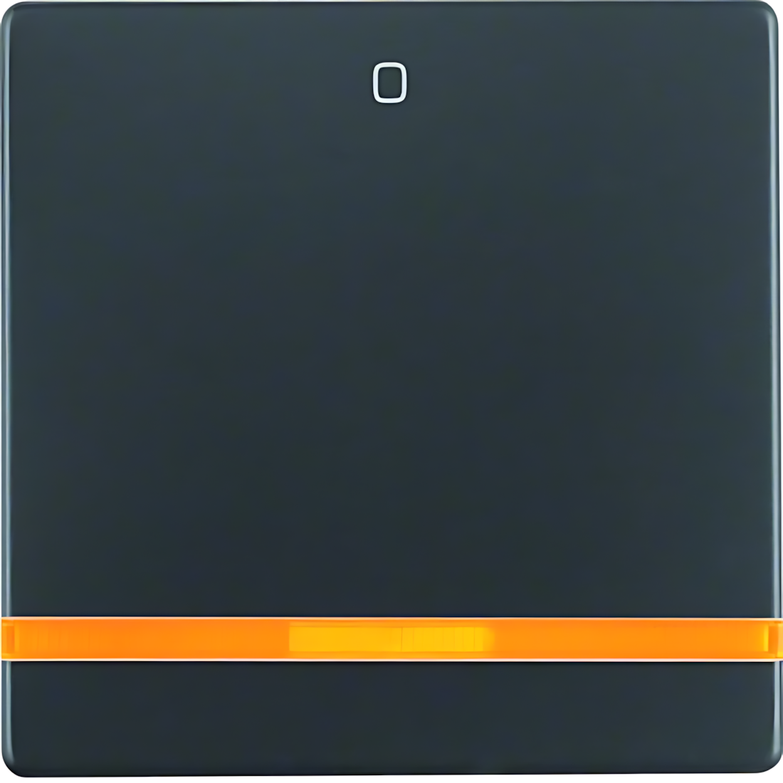 Berker Wippe 16246086 