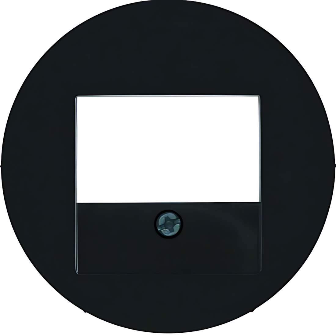 Berker Zentralstück 10382045 