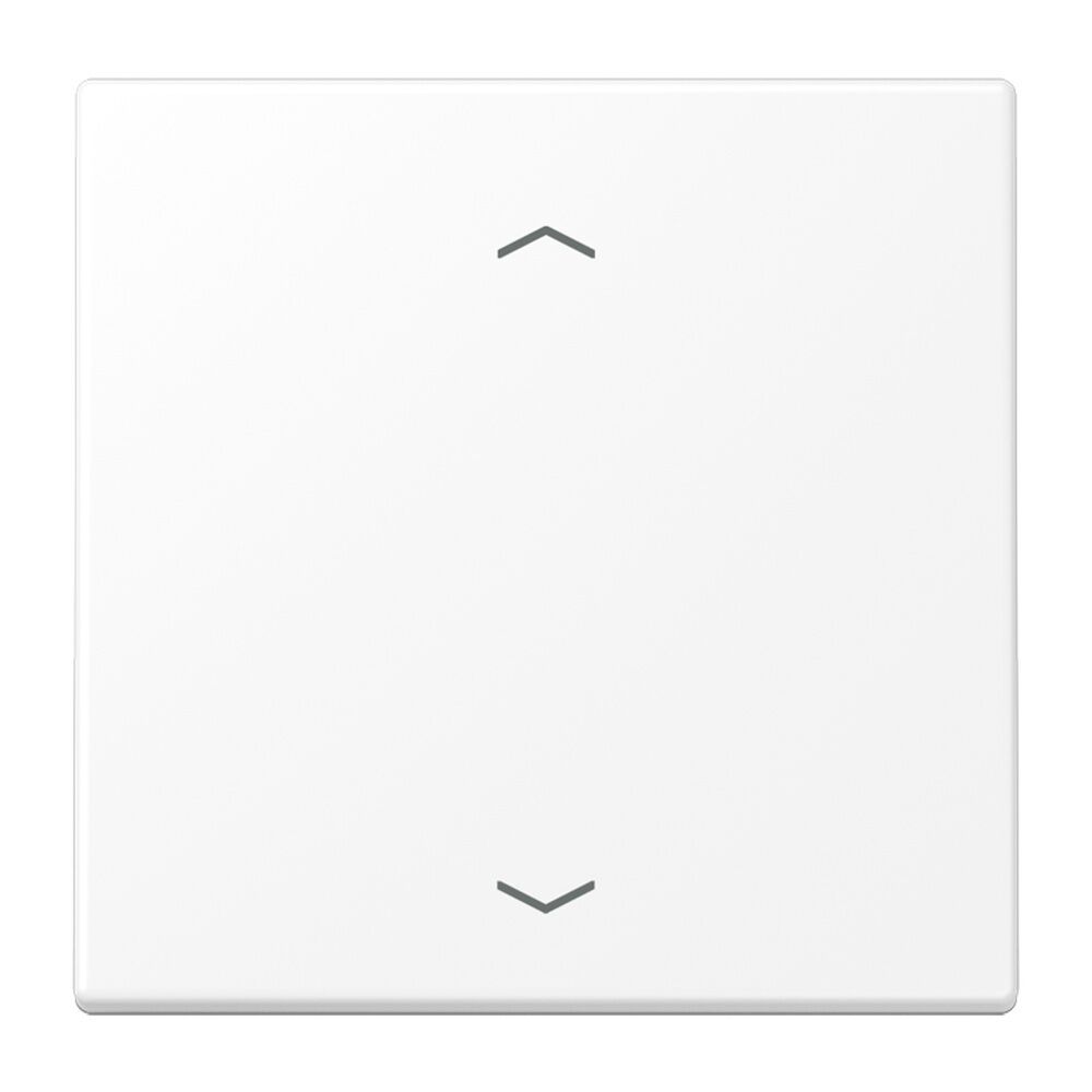 Jung Steuertaste LS1700PWWM