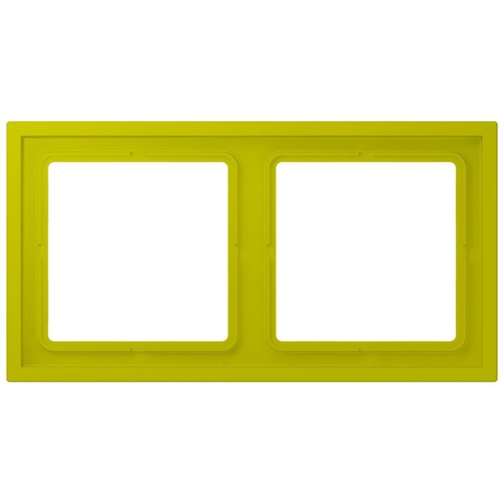 Jung Rahmen LCZ982BF249 