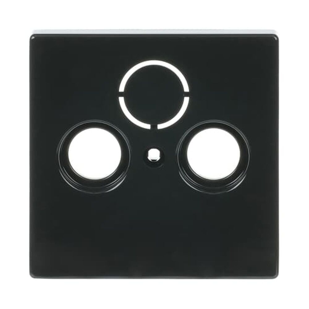 Busch-Jaeger Zentralscheibe 1743-81 Nr. 2CKA001724A4252