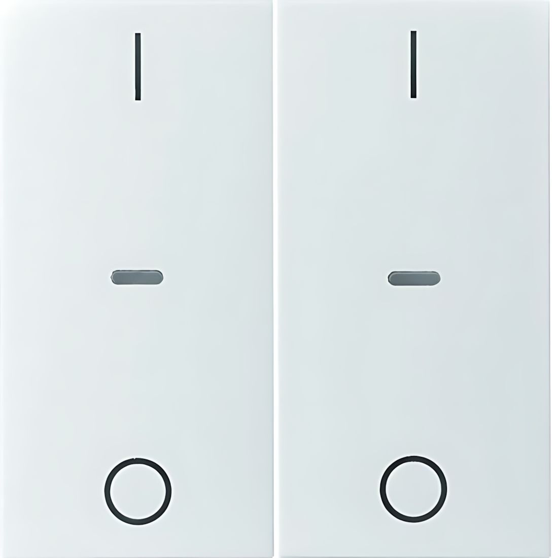 Berker Tastsensor Abdeckung 80962382