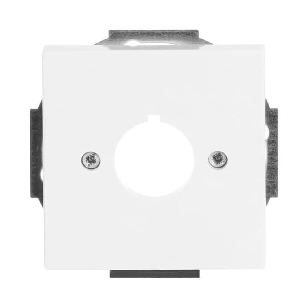 Busch-Jaeger Zentralscheibe 2533-84 Nr. 2CKA001724A4256