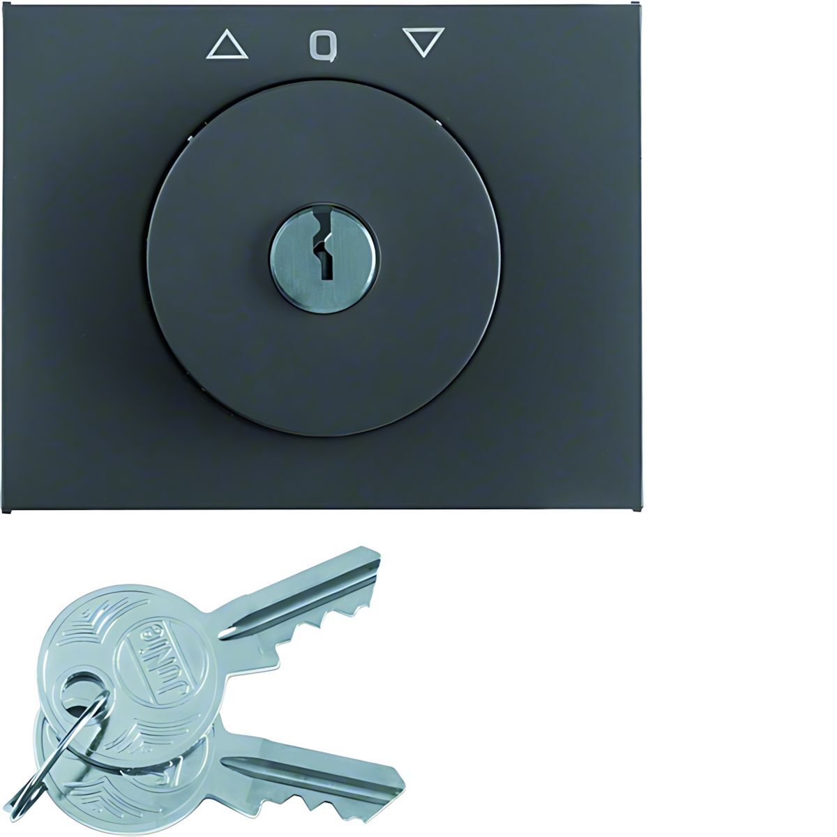 Berker Zentralstück m. Schloss 1079710600