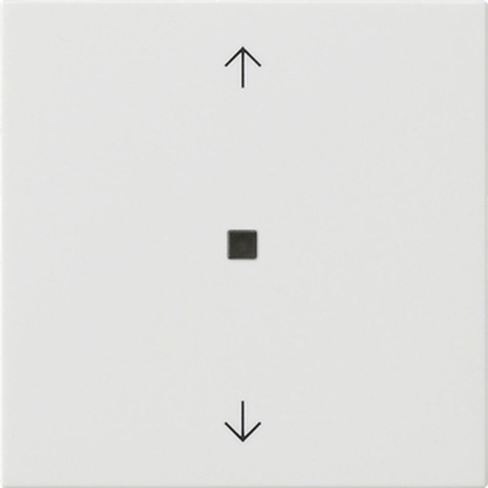 Gira Bedienaufsatz BT 538203