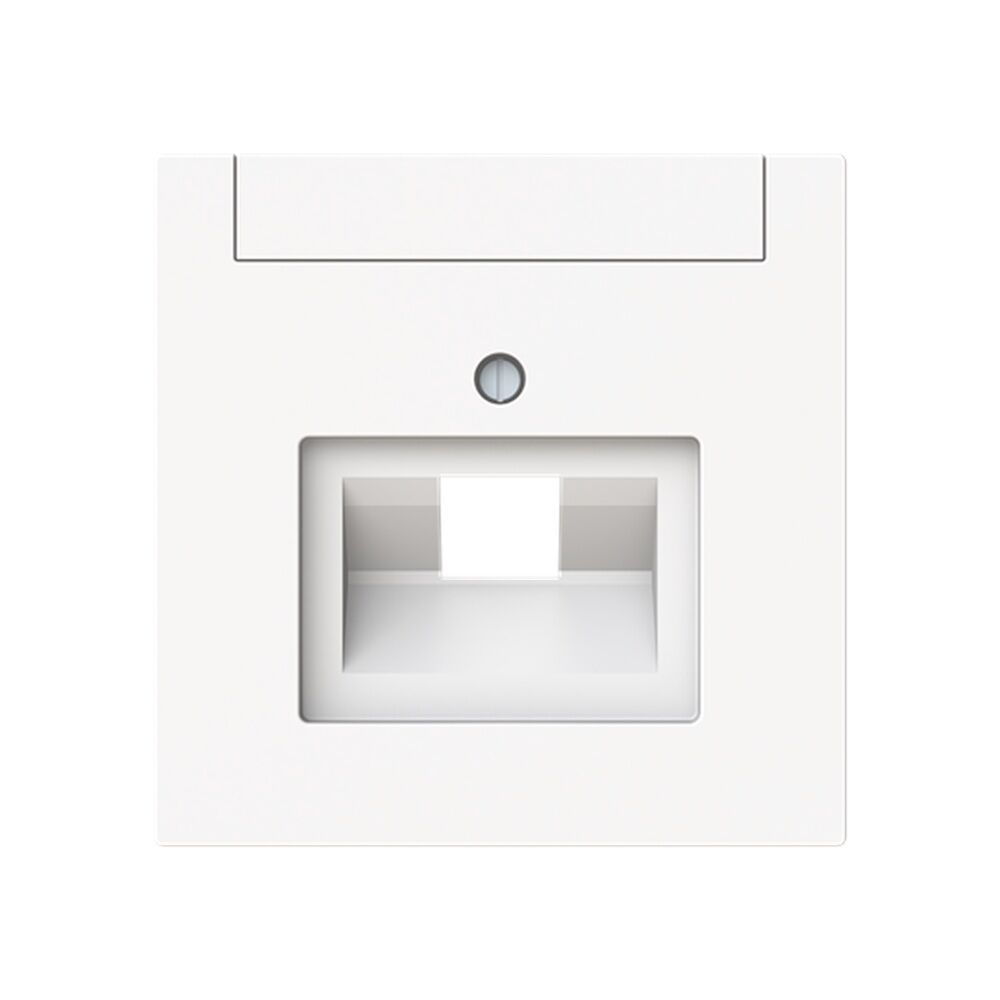 Busch-Jaeger Zentralscheibe 1803-44M Typ 2CKA001710A4220 