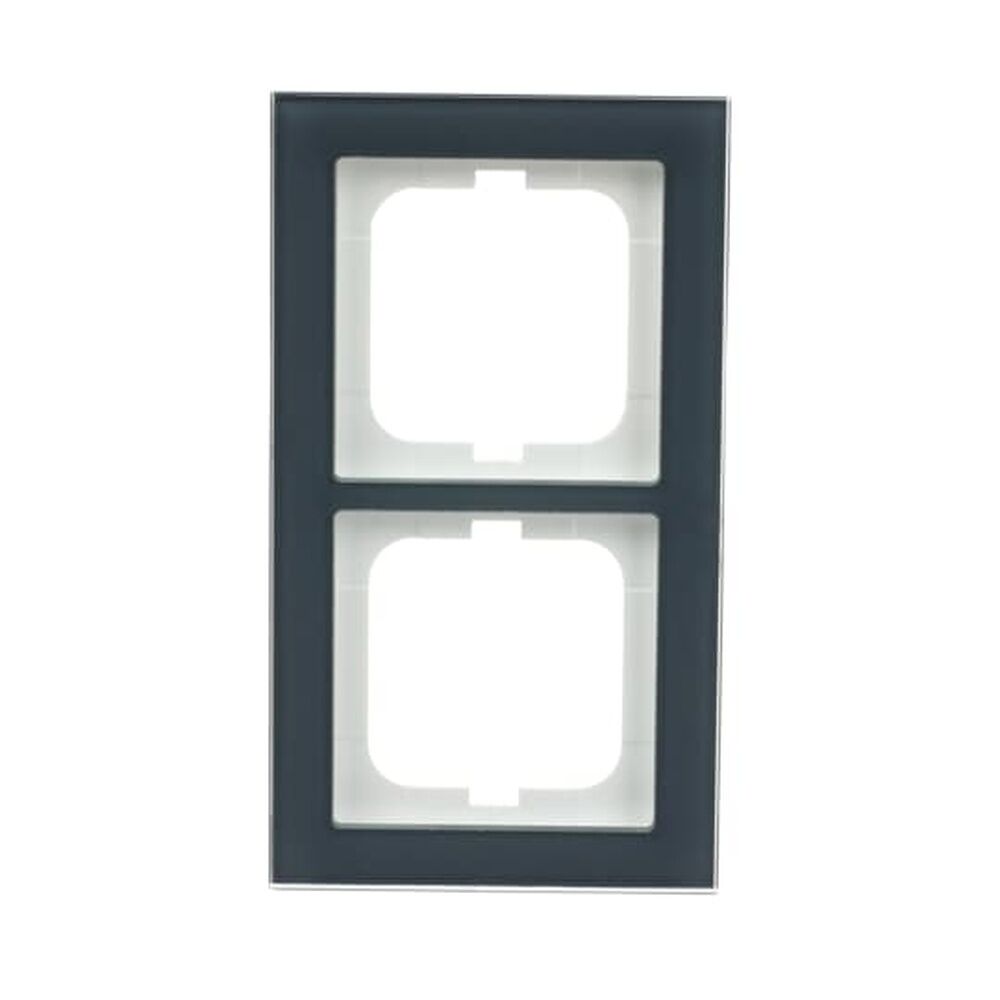 Busch-Jaeger Abdeckrahmen 2fach 1722-229 Nr. 2CKA001754A4781 